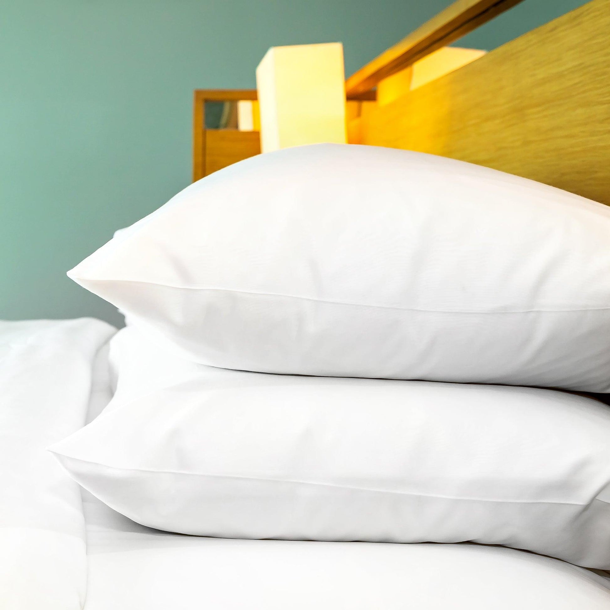 Camellia T200 Pillowcase - Pegasus Textiles