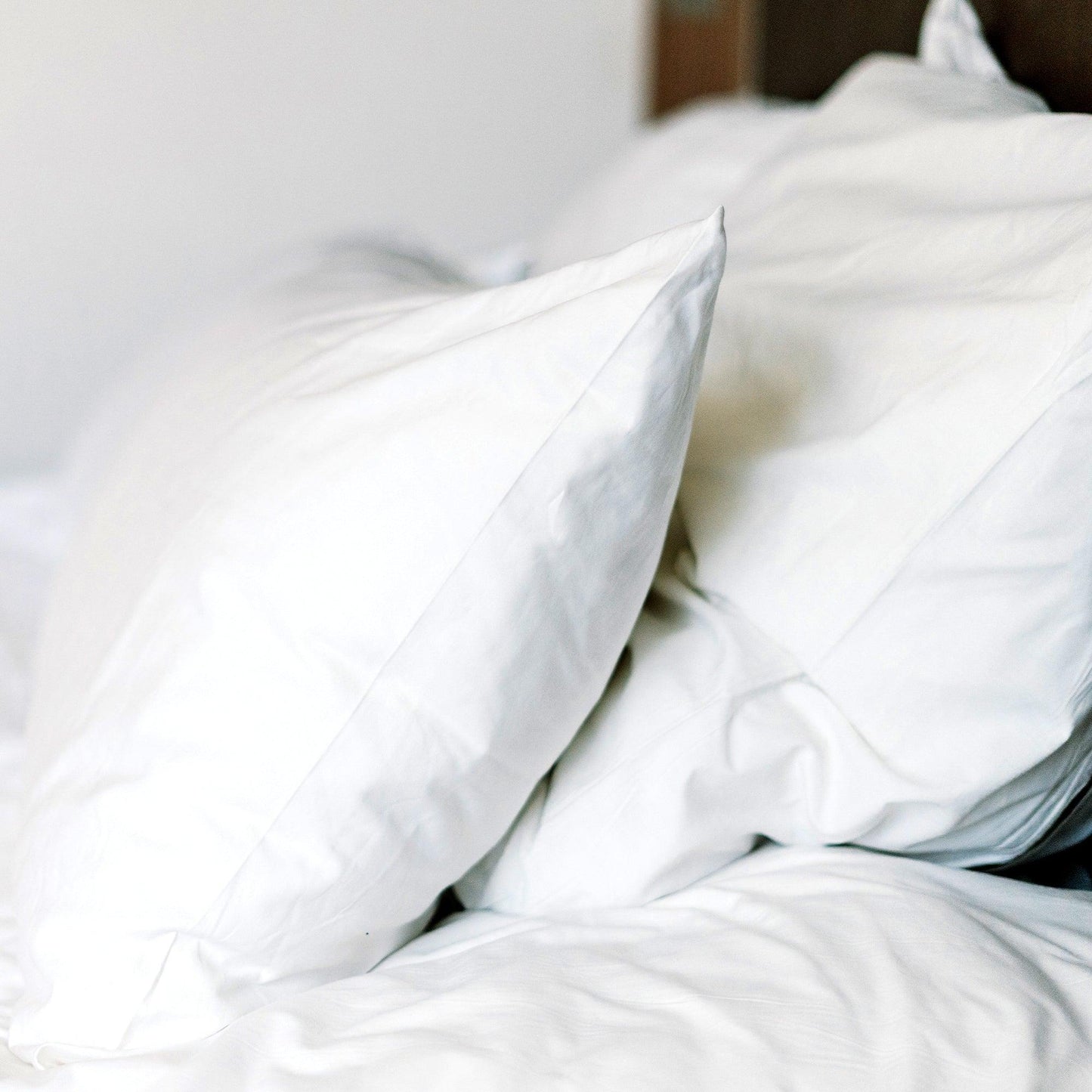 Magnolia T130 Pillowcase - Pegasus Textiles